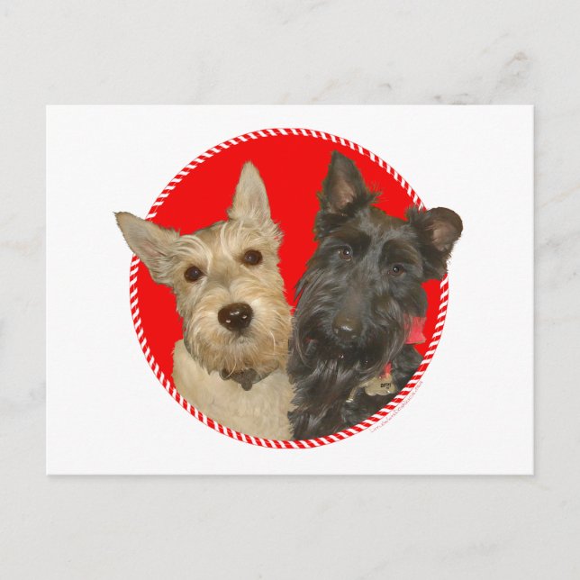 Jul Wheaten & Black Scotties Helg Vykort (Framsida)