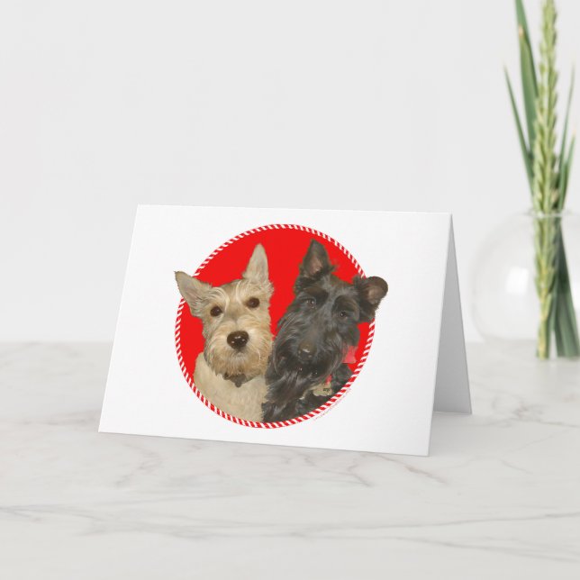 Jul Wheaten & Black Scotties Helgkort (Framsida)
