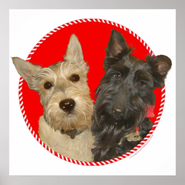 Jul Wheaten & Black Scotties Poster (Framsidan)