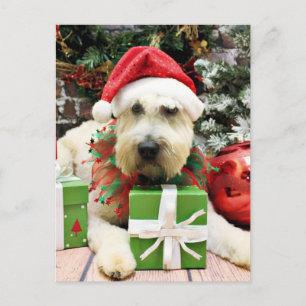 Jul - Wheaten Terrier - borggård Helg Vykort
