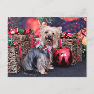 Jul - Yorkie - Abby Helg Vykort