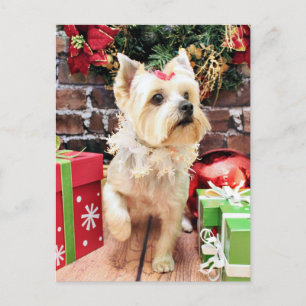 Jul - Yorkie - Dorie Helg Vykort