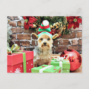 Jul - Yorkie - Vinnie #32 Helg Vykort