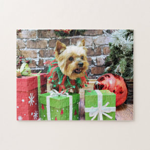 Jul - Yorkie - Willie Pussel