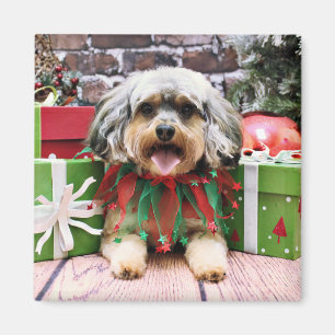 Jul - YorkiPoo - Oliver Magnet