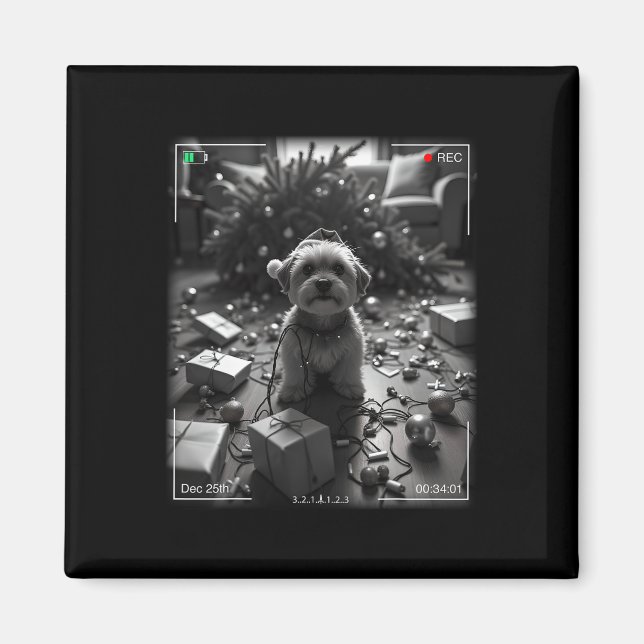 Jul Yorkshire Terrier Caught On Camera  Magnet (Framsidan)