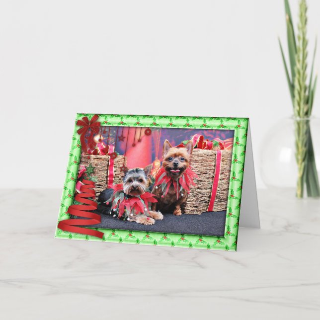 Jul - Yorkshire Terrier - Chloe och Rocky Helgkort (Framsida)