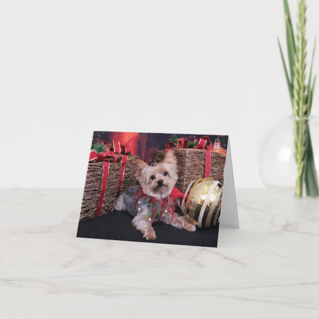 Jul - Yorkshire Terrier - Vinnie Helgkort (Framsida)