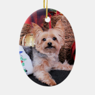 Jul - Yorkshire Terrier - Vinnie Julgransprydnad Keramik
