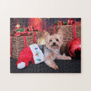 Jul - Yorkshire Terrier - Vinnie Pussel