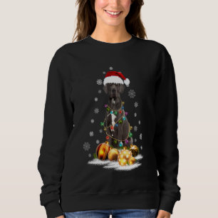 Julafton Great dane Hund jultomten Ljus Santa Rein T Shirt