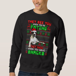 Julafton Great dane Santa de ser dig när du äter Lång Ärmad Tröja