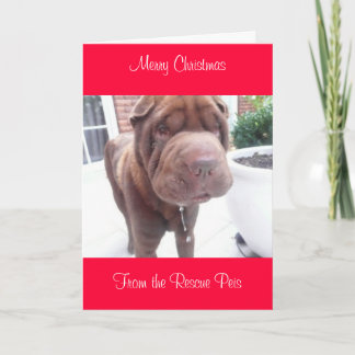 julafton-kort_cr, god julFrån Wallace Helgkort