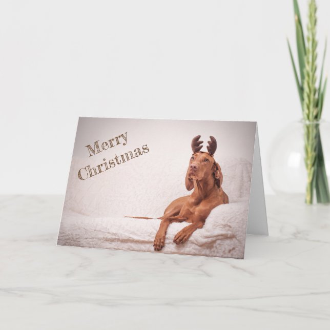 Julafton-kort/julkort "Magyar Vizsla" Helgkort (Framsida)