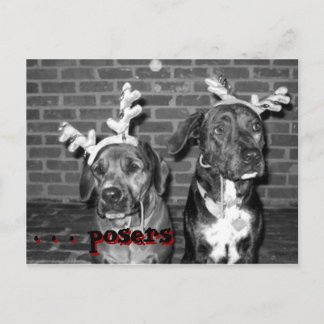 julafton-kortets rekontrast.. . . . .. helg vykort