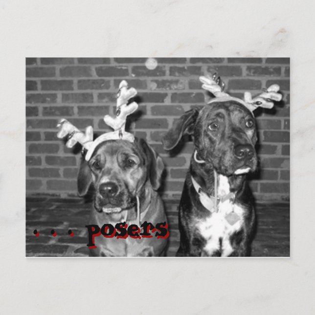 julafton-kortets rekontrast.. . . . .. helg vykort (Framsida)