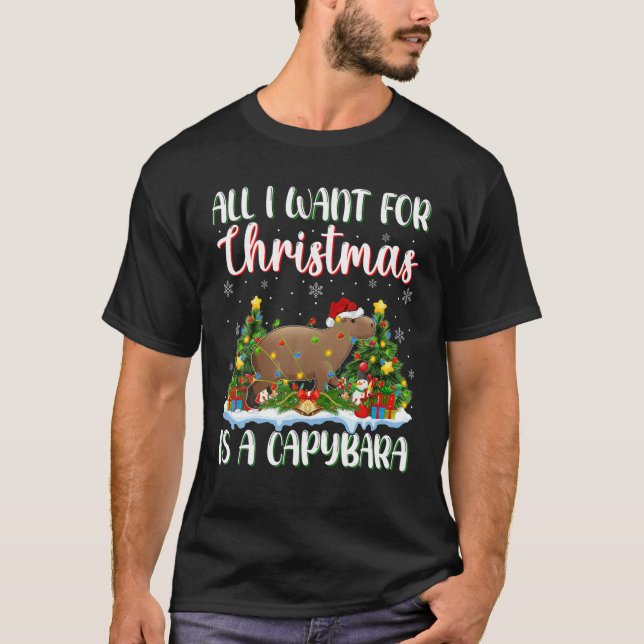 Julafton Lighting Santa, allt jag vill ha i julkla T Shirt (Framsida)