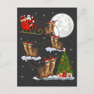 Julafton Lighting Träd Santa Riding Abyssinian Cat Vykort