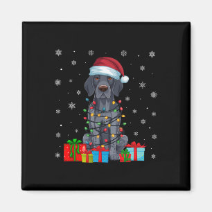 Julafton Ljus Santa German Shorthar Pointer Hund C Magnet