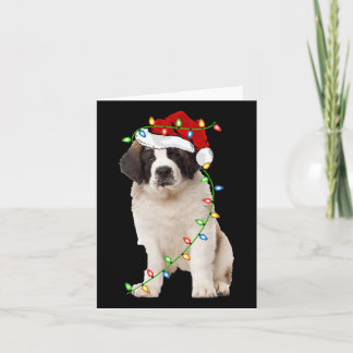 Julafton Ljus Santa Hat Saint Bernard Hund jul Kort