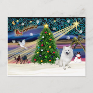 Julafton Magic-American Eskimo Hund Helg Vykort