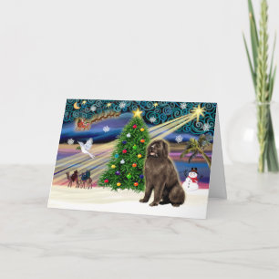 Julafton Magic-Newfie brownsit Helgkort
