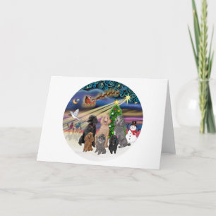 Julafton Magic (R) - 6 Standard Pudel Helgkort