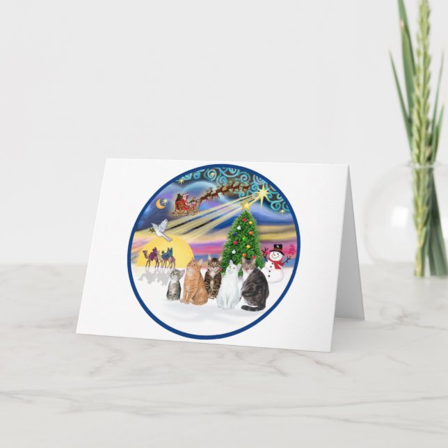 Julafton Magic (R) - Fem katter (AmSH) Helgkort (Framsida)