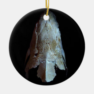>JULAFTON ORNATION -STURGEON FISH -SKULL/HUVUD JULGRANSPRYDNAD KERAMIK