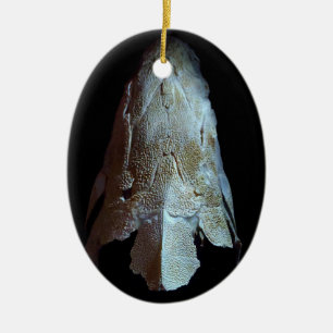 >JULAFTON ORNATION -STURGEON FISH -SKULL/HUVUD JULGRANSPRYDNAD KERAMIK