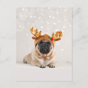Julafton Pug Helg Vykort