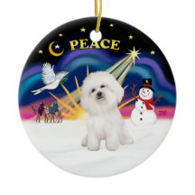 Julafton Soluppgång - Bichon Frise 4