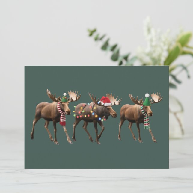 Julälg Älskare Ren Julbelysning Högtid Julkort (Stående Fram)