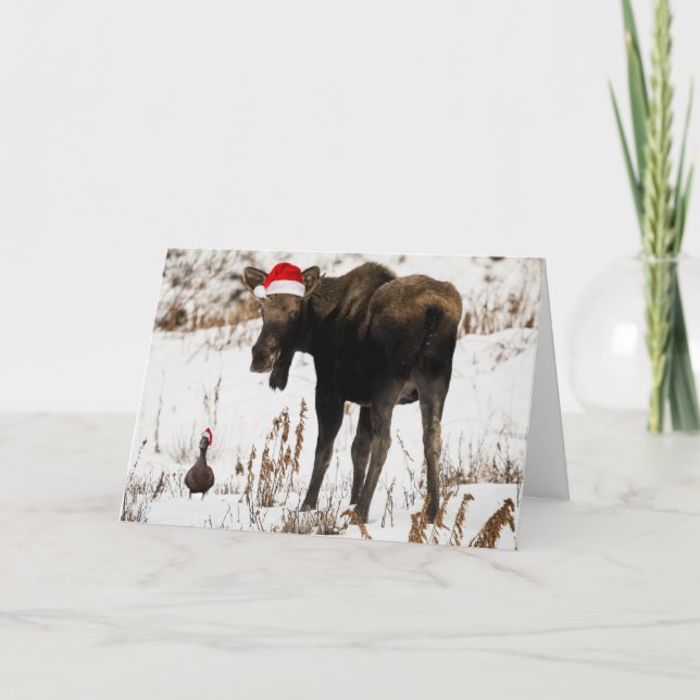 Julälg med ankahelgdagkortet helgkort (Framsida)