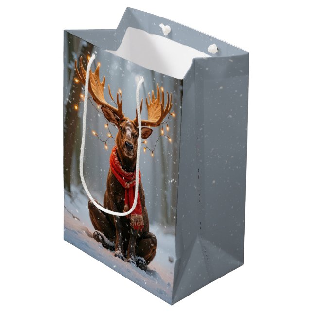 Julälg Med Semestersljus (Framsidan Vinklad)
