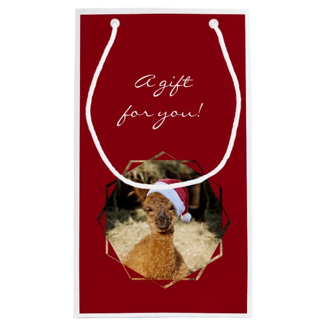 JulAlpacagåvan hänger lös (Baksidan)