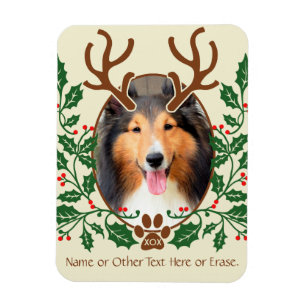Julantier för Hund/Kat Personalize Photo Magnet