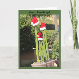 JulArizona stil! Helgkort