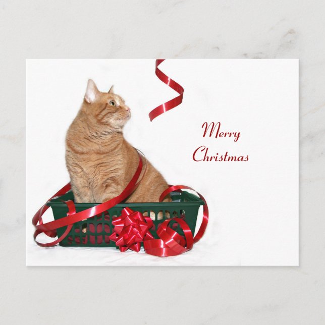 Julband kattunge helg vykort (Framsida)