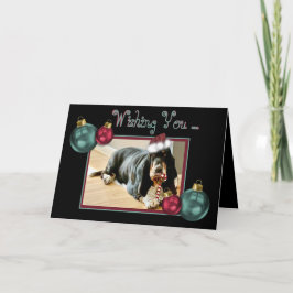 Julbasset Hound på Cute Card w/Candy cane Helgkort
