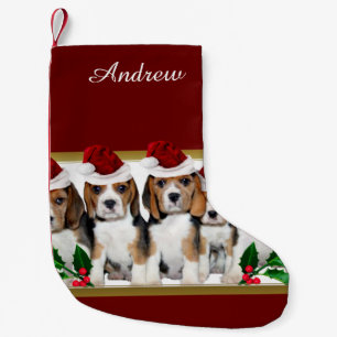 JulBeaglevalpar Liten Julstrumpa
