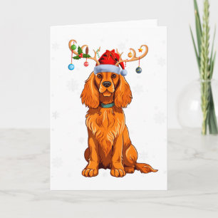 Julbelysning Ren Julhatt Er Spaniel Jul Kort