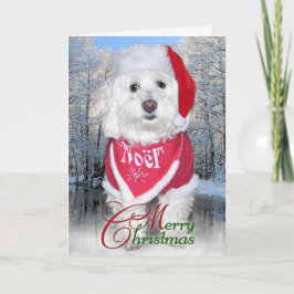 JulBichon Frise hund Helgkort