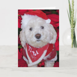 JulBichon Frise hund Helgkort
