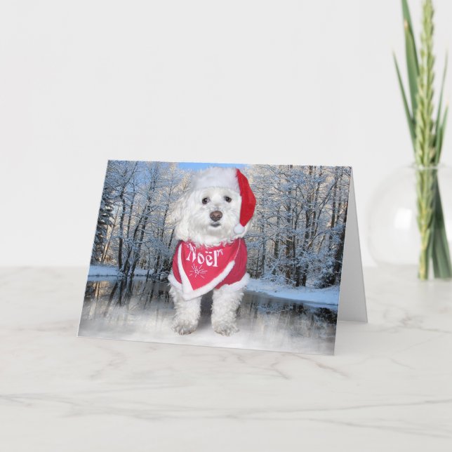 JulBichon Frise hund Helgkort (Framsida)