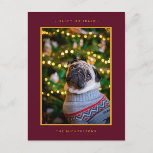 JULBILD   Gula Poinsettia Helg Vykort