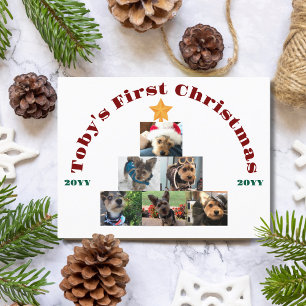Julbild på hund första julen, Träd, Husdjur, Perso Helg Vykort