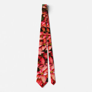 Julblomma Poinsettia Slips