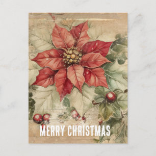 Julblomma Poinsettia Vintage Vykort