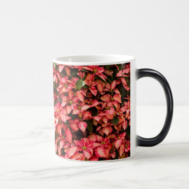 Julblomman "Poinsettia" Magisk Mugg (Höger)